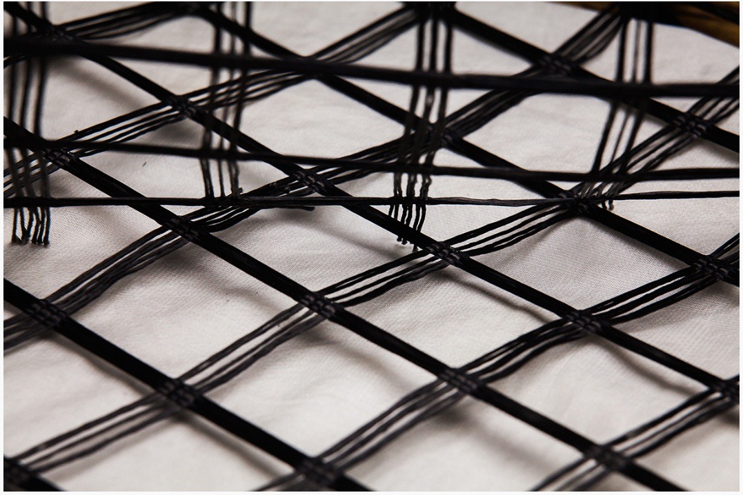 تصویر  geogrid POLISET