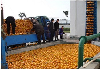 38597