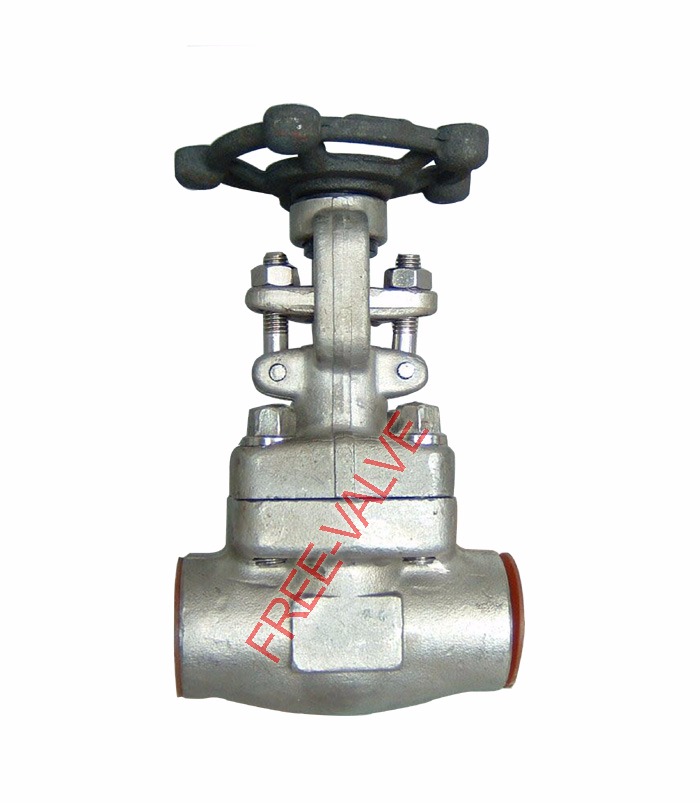 تصویر  SW ends forged steel globe valve