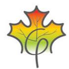 Geelani International