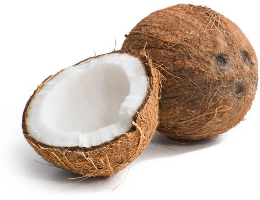 تصویر  Coconut