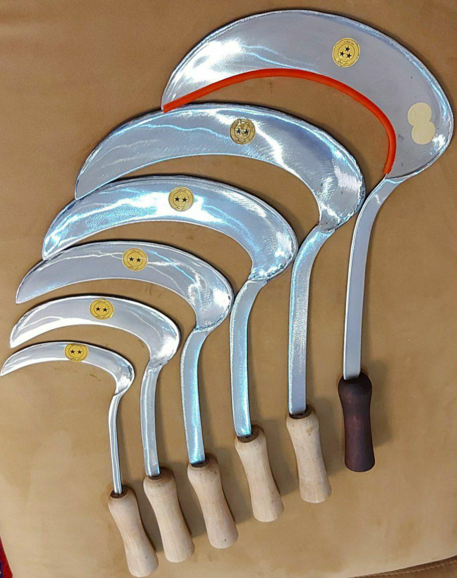 45507