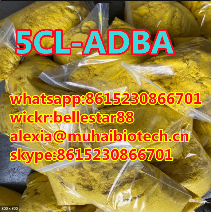 50200