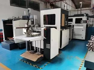 50244