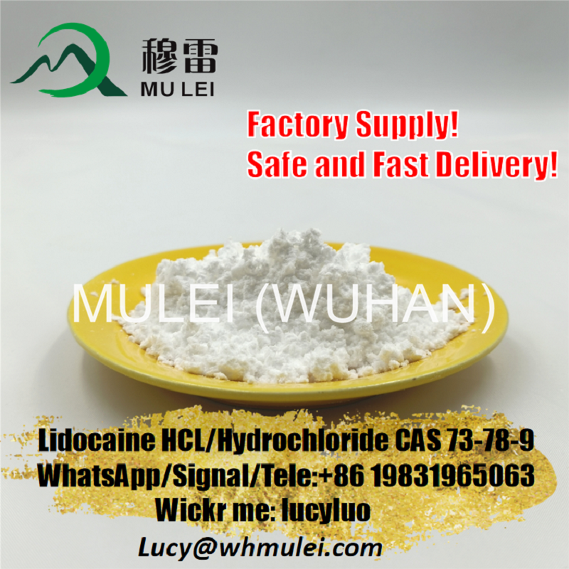 تصویر  Injection Grade Lidocaine HCl UK Warehouse Xylocaine Free Sample CAS 73-78-9