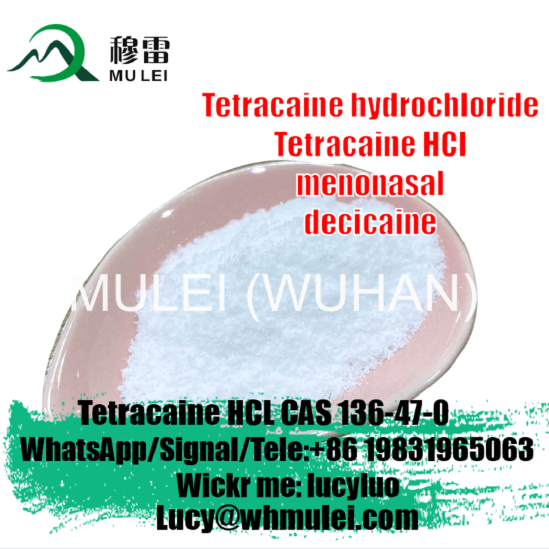 تصویر  Supply Tetracaine HCl CAS 136-47-0 Tetracaine Hydrochloride Powder with Best Price to Brazil