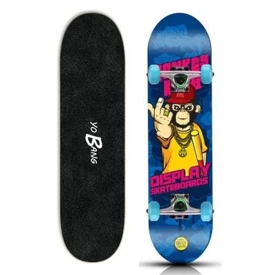 55337