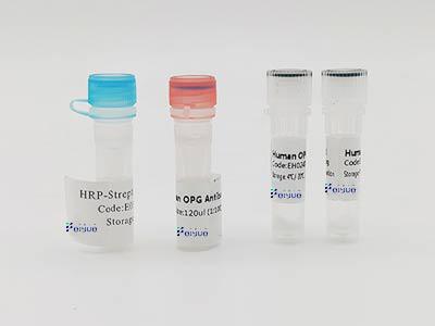تصویر  Selling ELISA Kits,Antibodies,Cells for Biotech research