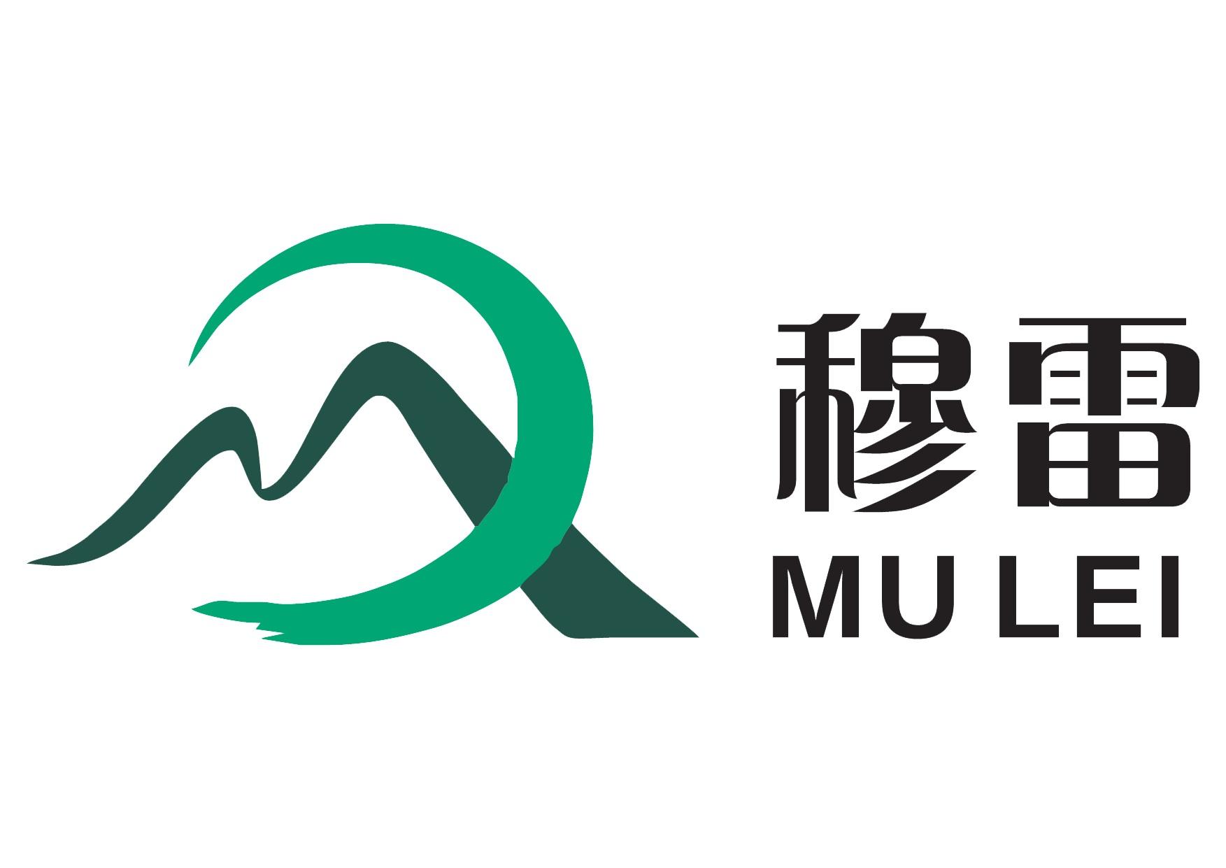 Wuhan New Material technology co. ltd