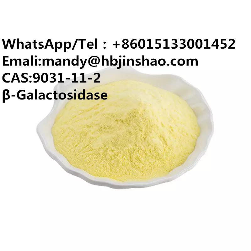 91037