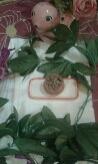 تصویر  Ashwagandha