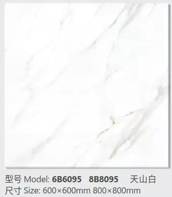 137504
