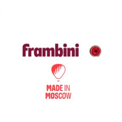 FRAMBINI LLC