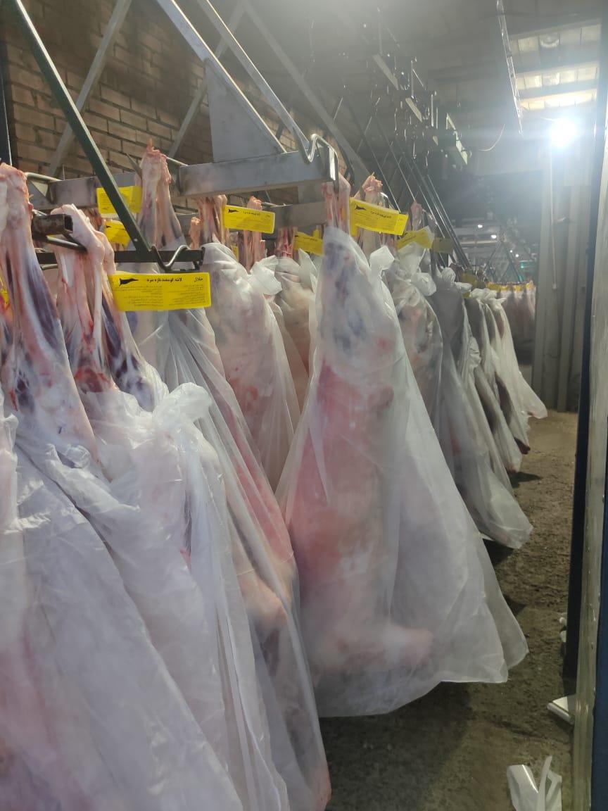 تصویر  Lamb meat for sale in carcasses