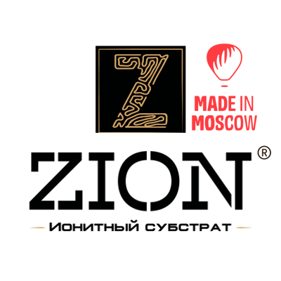 Zion Rus LLC