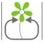 Safer Soil & Plant co.