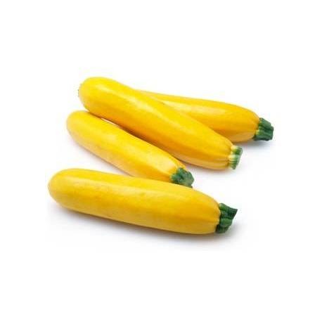 Picture of کدو خورشتی ارگانیک زرد