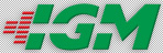Industrial Gear Motors Co.