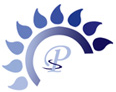 Petro Sazeh Co.