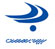 Bahman Insurance