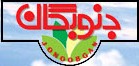 Kerman Zamin