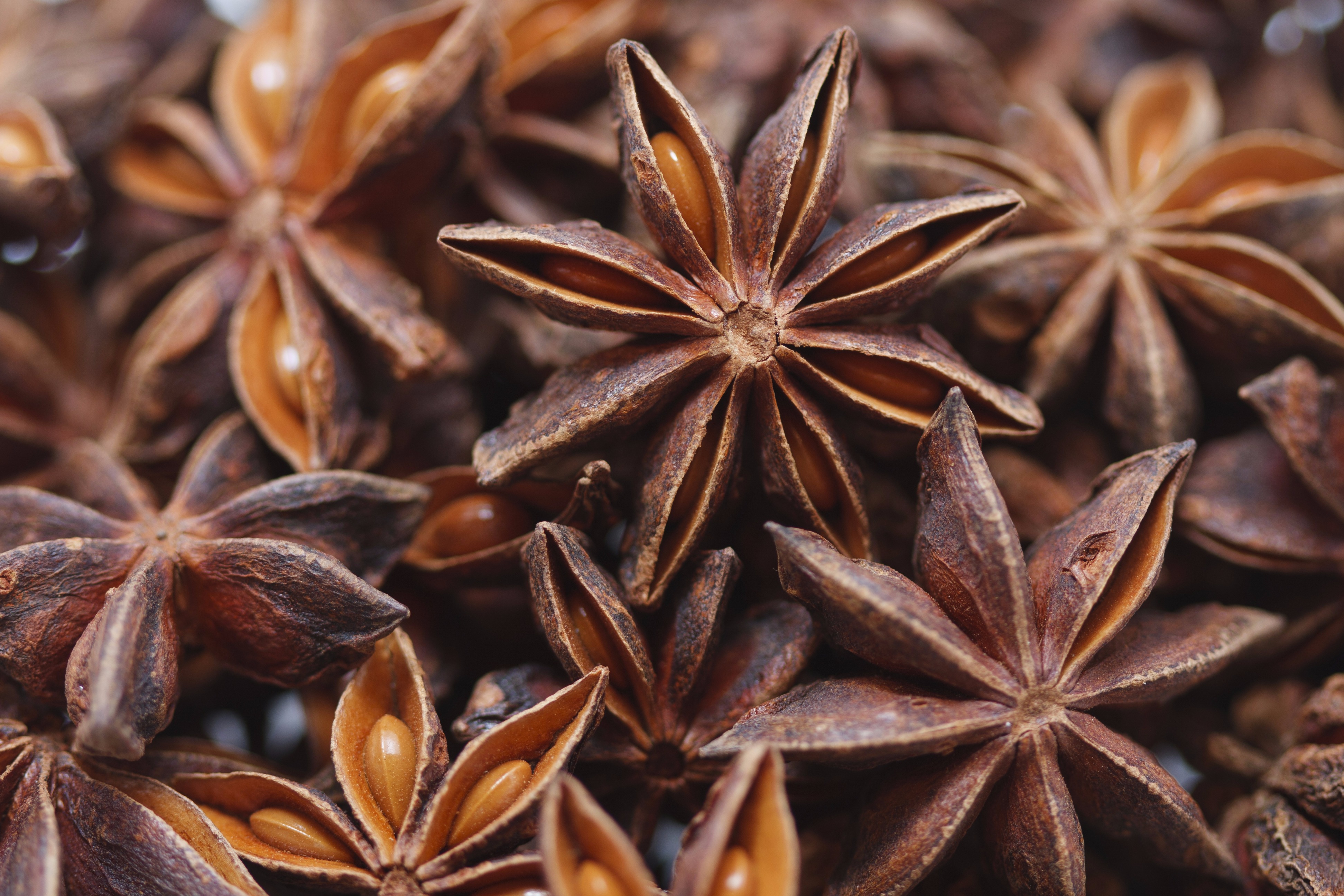 تصویر  Star anise