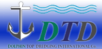 Dolphin Top