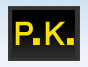 Parastoo Kamam (P.K)