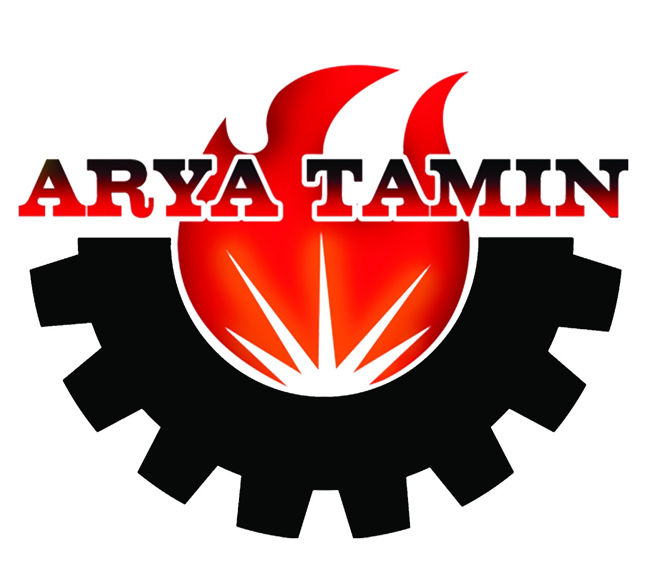 arya tamin