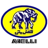 Melli Shoes