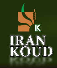 Iran Koud