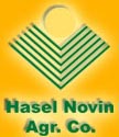 Hasel Novin