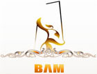 Bam engineering Development Group