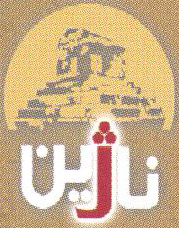 Najeen