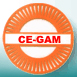 CE-GAMS
