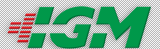 Industrial Gear Motors Co.