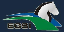 EGSI (Gas Siz)